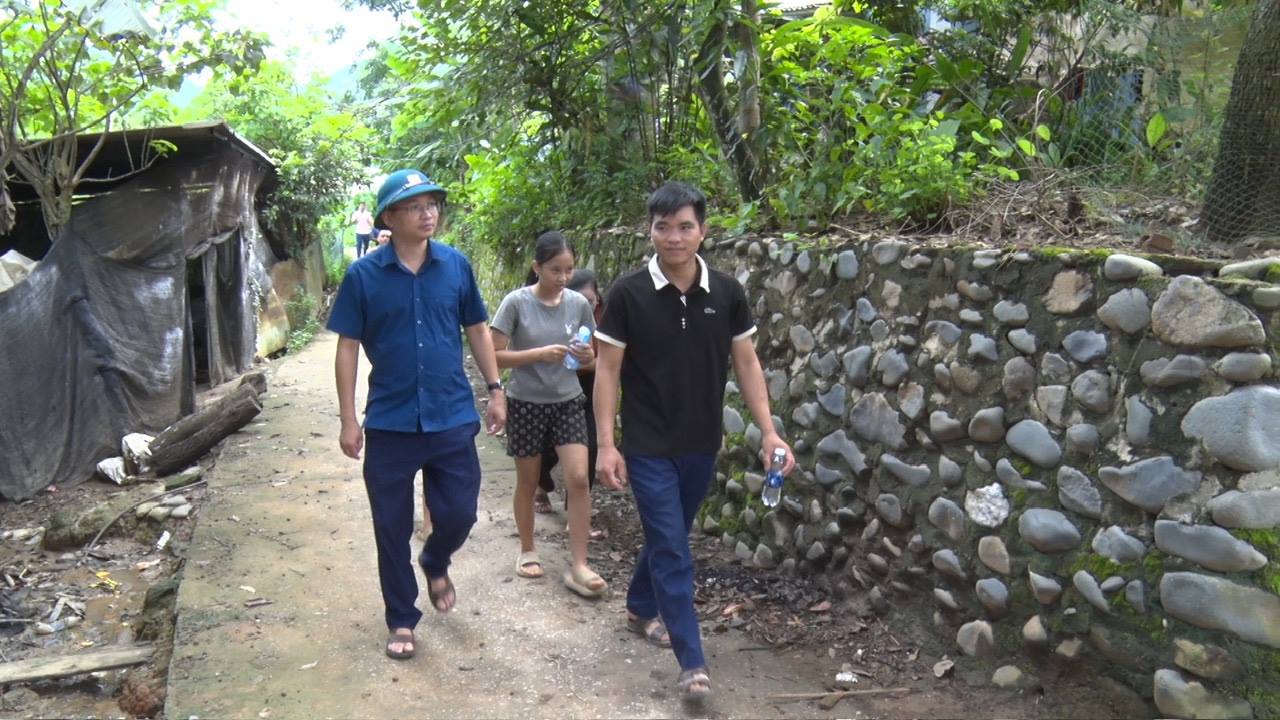 anh tin bai